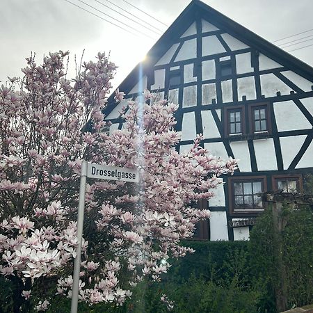 Das Pautzen Haus Daun Luaran gambar