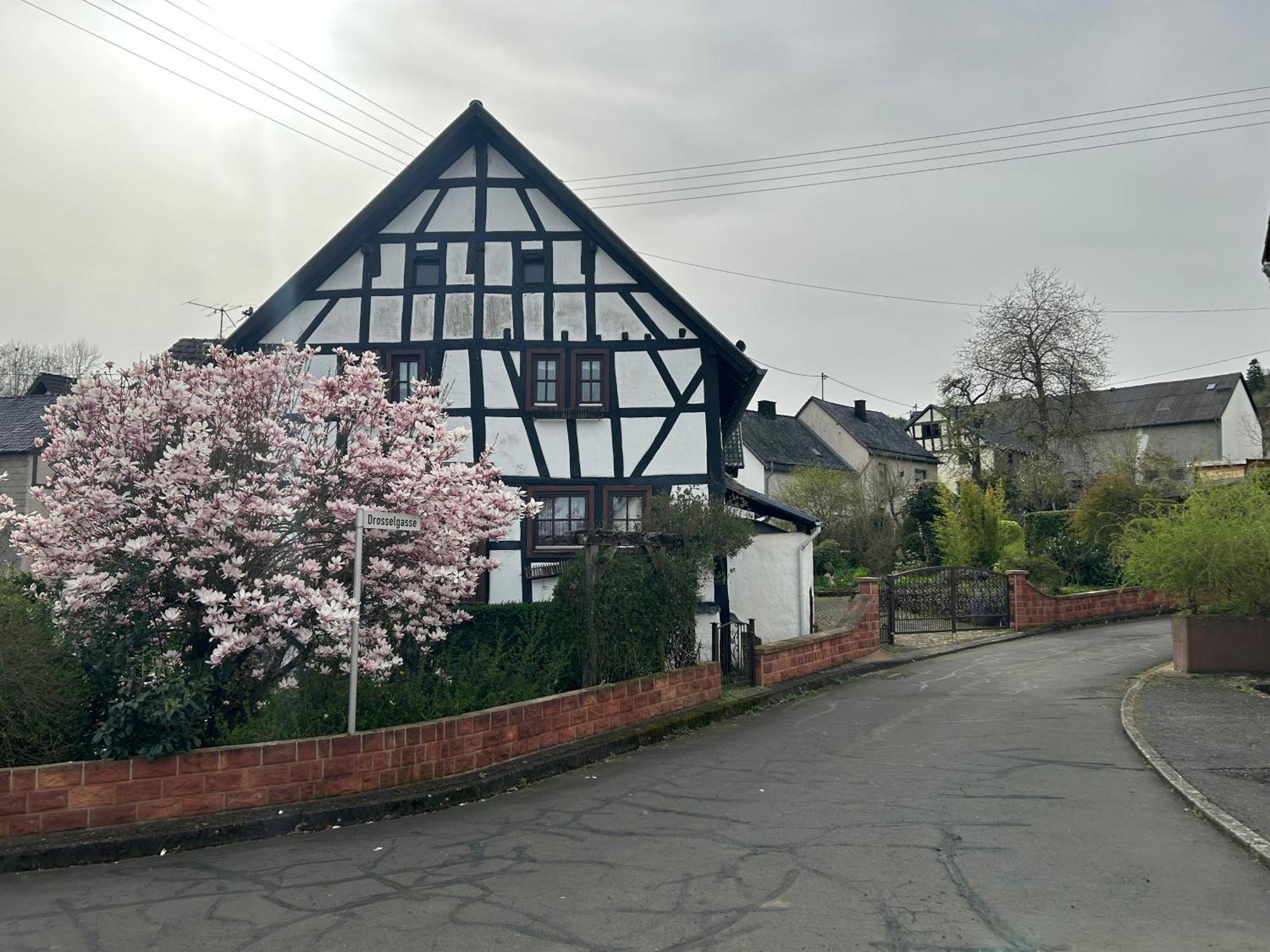 Das Pautzen Haus Daun Luaran gambar