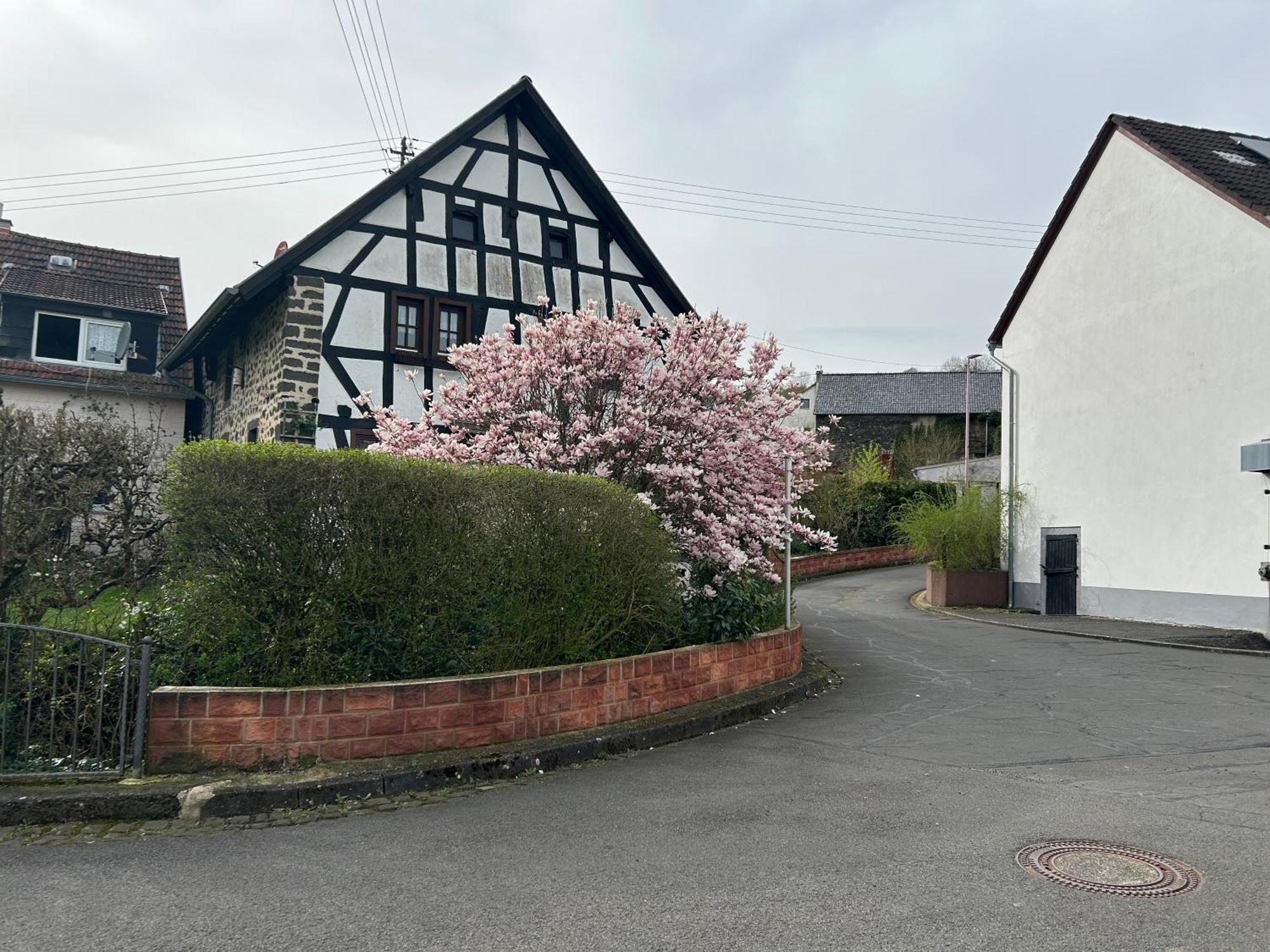 Das Pautzen Haus Daun Luaran gambar
